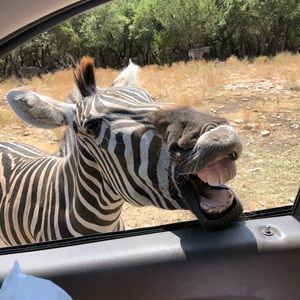 Meet your Posher, Kevin